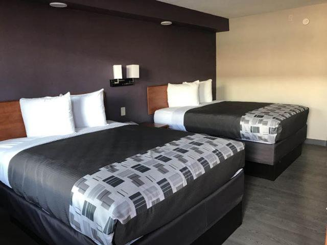Executive Inn Kingsville Extérieur photo